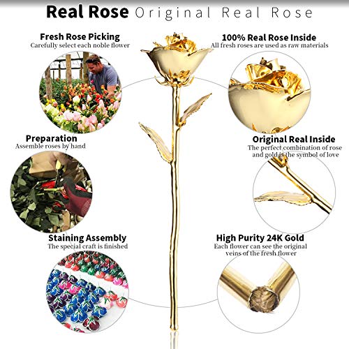 Image of 24K Golden Rose, Gold Dipped Rose Made from Real Rose Best Gifts for her and Great Gifts for My Wife, Golden with Stand