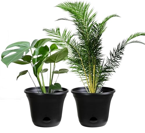 San Marino Lazy Planters - Maceta de autorriego de carbón - Maceta grande - Interior y exterior (2 x 25 cm)