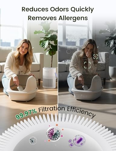 Jafända Air Purifier for Home