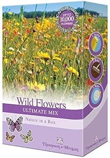 Wildflower Seeds for The Garden Perennial Annual Plants Grow Your Own UK Wild Flower Seed Mix Poppies, Meadow Flowers & Grasses Bee Friendly Blooms 1 x 15g Mixed Pack by Thompson & Morgan