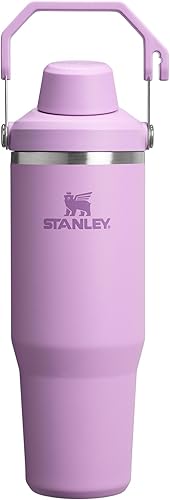 Stanley IceFlow 2.0 Fast Flow - Vaso de 30 onzas con asa y tapa giratoria con boquilla en ángulo, botella de agua a prueba de fugas de acero