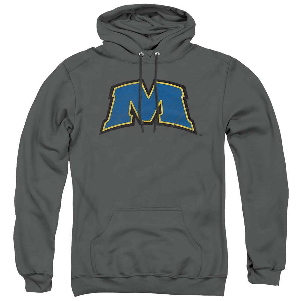 LOGOVISION Official Collegiate Distressed Primary Logo Adult Pullover Hoodie Collection — view 156