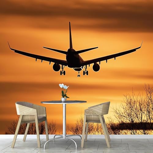 Fotomurales Decorativos Pared Avión 3D Mural Autoadhesivo Pared Puesta de Sol Papel Pintado Tela de Seda Papel Tapiz Panorámico 350x250 cm B-4746