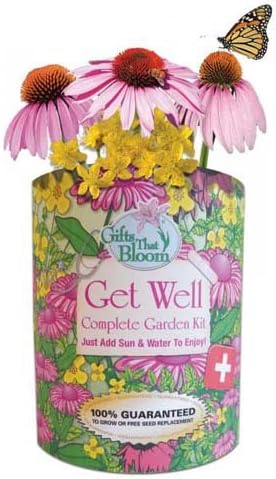 Get Well Garden Grocan