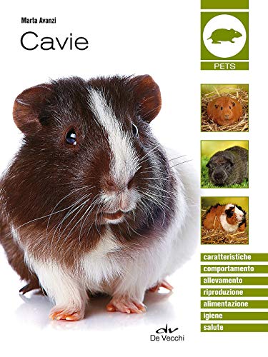  Cavie
