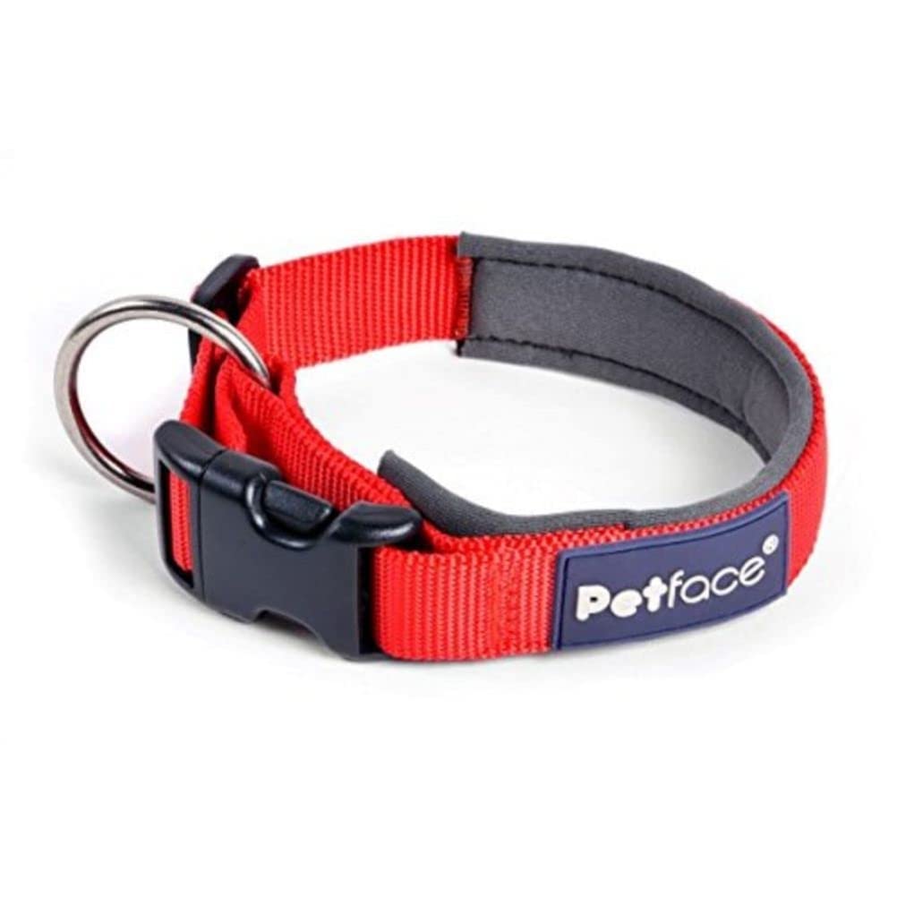 Petface (Outdoor Paws by Petface) Neoprene Trek Red Dog Collar, Small