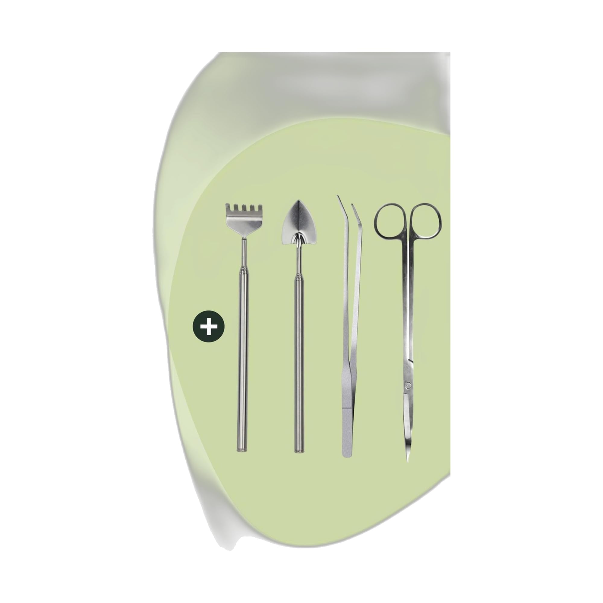 Terrario per Piante Fai da Te in Vetro, Decorazione Casa, Verde, Set 30 cm