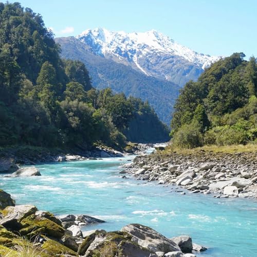 Copland Track & Welcome Flat Hut