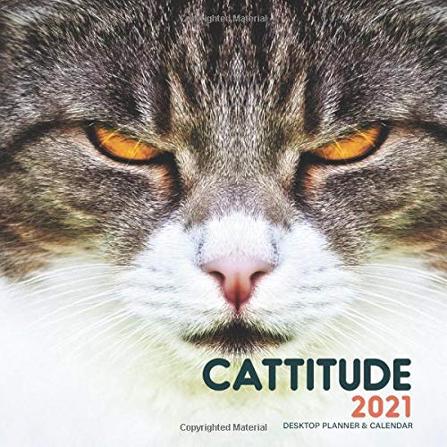 Cattitude Planner Cats with Attitude Desktop Weekly Planner and