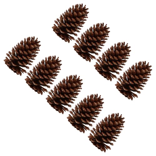 LIFKOME Lot de 9 Pommes de Pin Naturelles Sèches Grosse Taille Accessoires Déco DIY pour...