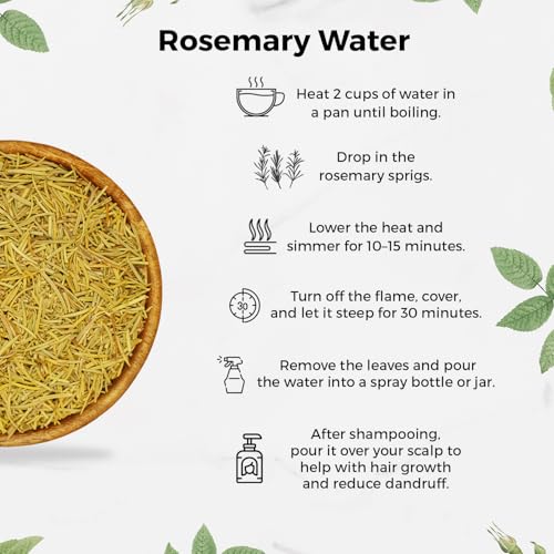 Image of CARMEL ORGANICS Rosemary Leaves 250 Gram, With Spray Bottle | Useful For Hair Growth, Herbal Tea And Cooking, Natural, No Added Preservatives And Additives, Salvia Rosmarinus