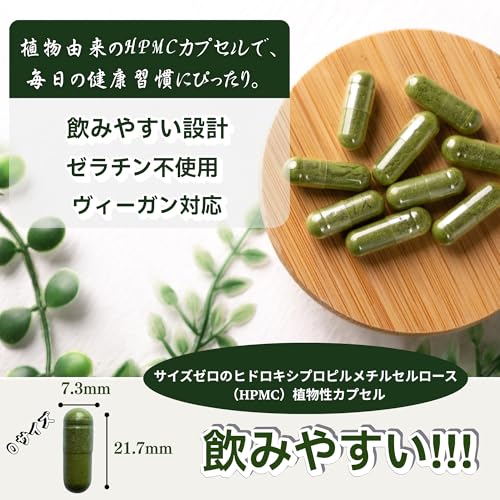 HANAME FOODS モリンガカプセル 240粒