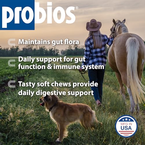 Probios Horse Probiotic Soft Chews, Apple Flavor, 1.32 lb | Gut health, Digestive support, Immune health, Apple flavor - Image 3