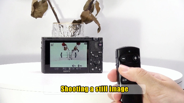 Vlogging Grip Sony Camera Tripod - Rechargeable Wireless Remote With ...