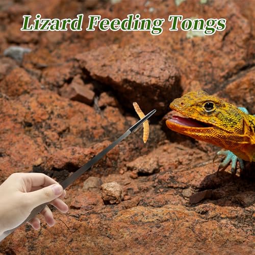 Image of 14.96 inch L Aquarium Straight Feeding Tweezer for Feeding with Black Rubber Tip