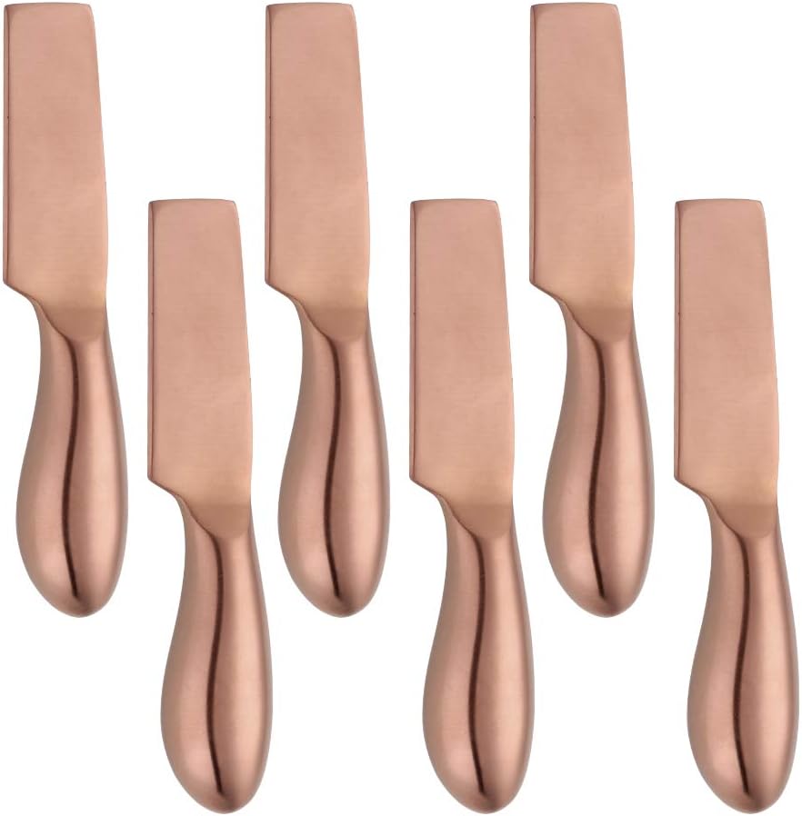 BuyGo Stainless Steel 6 Pieces Rainbow Cheese Knives, 5.3 Inch Rectangular Cheese Cutter, Gift for Birthaday, Wedding, Housewarming, Dishwasher Safe