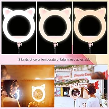 まふまふ 猫耳リングライト 8点まとめ売り 毛並み猫 リング お目目がラブラドライト （シルバー