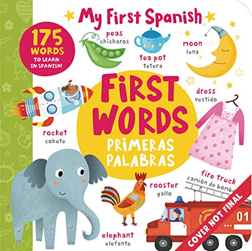 Book of Words - Libro de Palabras: More Than 100 Words to Learn in Spanish! (My First Spanish)