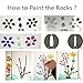 Lifetop 3LB Tiny Painting Rocks DIY Rock for Paint Detail-Painting Smooth Surface Stones,Arts,Crafts Garden,About 350-400PCS 0.5 to 1.0 inches ，Hand Picked