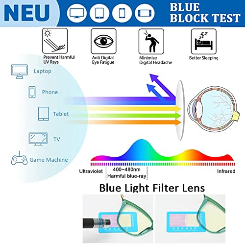 Occhiali da lettura da donna con montatura Cat Eye, eleganti occhiali da computer con blocco della luce blu, lettori con cerniera a molla TR90 (Colore : Nero, Dimensioni : 3.0 x)