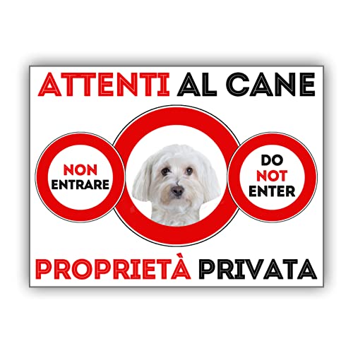SNOGGHY Targa Cartello ATTENTI al Cane Maltese (30...