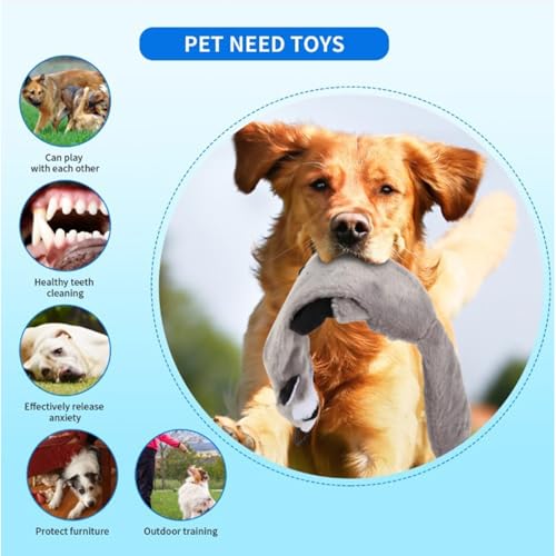 Corde interactive rétractable pour chien : optimisez l'exercice de votre animal