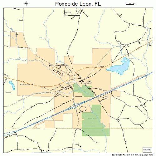 Large Street & Road Map of Ponce de Leon, Florida FL Printed poster