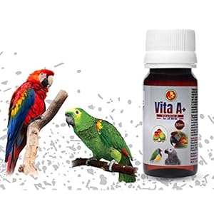 Pet Care International (PCI) Vita A+ || Specially formulated for Birds || Vitamin A is a Vitamin for Birds That do not Produce (or Insufficient) || Pack of 2 || 30ml x 2