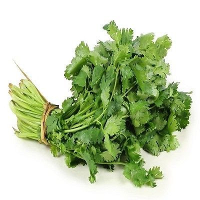 100 Seeds - Cilantro Kräutersamen (Corian Sativum Santo) - Image 3