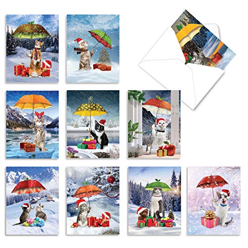 The Best Card Company - 10 Cat Season's Greetings Cards - Christmas Animal Notecards, Assorted Holiday Set (4 X 5.12 Inch) - Fruit Cat Am6323Xsg-B1X10 #TOP12