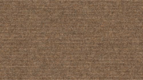 Tretford Teppichboden Ever 2 Meter Breit vorgegebene Größen Größe 100cm, Farbe 571