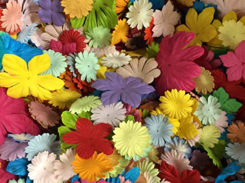 PEPPERLONELY Brand Mulberry Paper Flower Petals 30 Gram, 300PC + Flower Petals - Thumbnail 5