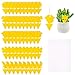 SAVITA 50pcs Pièges Engluées Autocollants, Pièges Autocollants Colle Englués Pièges Attrape Anti Moucherons Interieur Décorations de Jardin pour Intérieur et Extérieur Insectes de Serre (5 Styles)