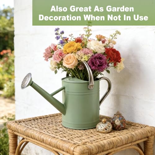 Watering Can for Outdoor&Indoor Plants,1 Gallon Metal Watering Can with with Removable Spout,Galvanized Steel Garden Flower Water Can Plant Watering Pot with 2 Stainless Steel Handles,Cream Green