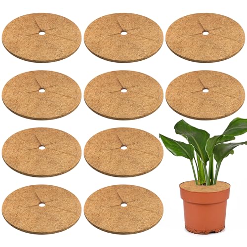 Legigo 10pcs Coconut Fiber Mulch Ring Tree Plant...