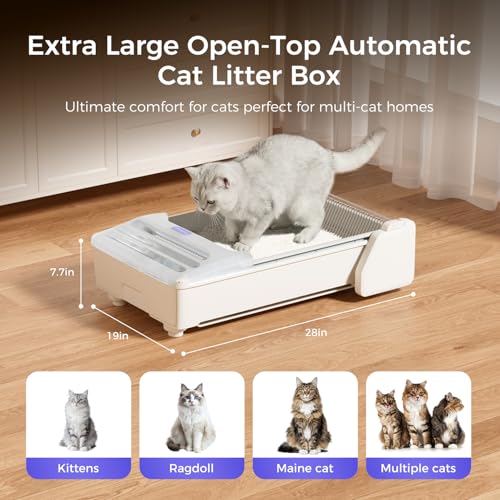 Self Cleaning Litter Box, 2026 Upgraded Open-Top Automatic Cat Litter Box for Multiple Cats, Weight Sensors Safety Protection/App Control/Odor Control/Easy Clean (White) - Image 3