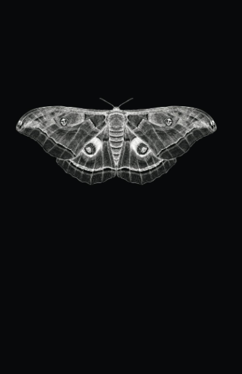 All The Words I Dare Not Speak