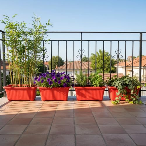 Image of Bianco Rectangular Plastic Pots for Plants, Jupiter Flower Pots for Home, Window Display, Garden (35 x 18.5 x 15 cm) (RED) (Pack of 4)
