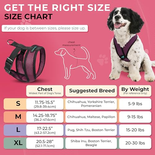 Gooby Comfort X Hundegeschirr zum Ziehen über den Kopf, komfortabel, kein Ziehen, für kleine bis mittelgroße Hunde, Würgeschutz, X-Design, für unterwegs, für Innen- und Außenbereich, Größe L, Lila