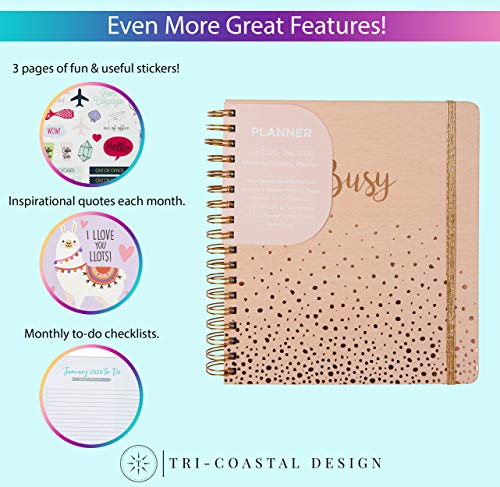 2020 Busy, 12 Month Daily Planners/Calendars: Tri-Coastal Design Planners with Monthly, Weekly and Daily Views - Personal Planner Notebook for Work or Home