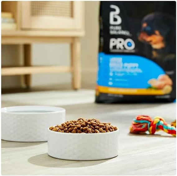Pure Balance Pro+ Chicken and Brown Rice Large Breed Puppy Food ~ 16 Lbs ~ Dog Kibble Form, High Protein ~ (1 Pack)