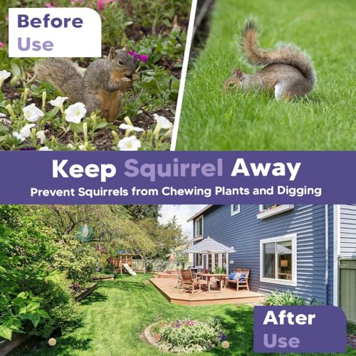 AJOQFKTD Squirrel Repellent Outdoor, Chipmunk Repellent, Repellent for Squirrels, Squirrel Deterrent for Gardens/Attics/Cars/Bird Feeders (1 Ounce (Pack of 8))