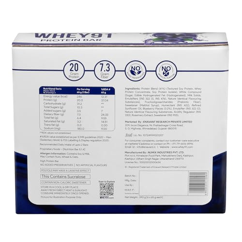 Image of Whey91 Blueberry Blast Protein Bar, 20g Protein & 7.3g Fiber in each, No Added Preservatives, No Artificial Flavour, 390g- (Pack of 12)
