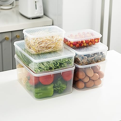 Cetomo 10L*4 Gefrierbehälter, Frischhaltedose, Vorratsdosen mit Deckel, Behälter Gefrierschrank fur Kühlschrank, Gefriergeeignet, Mikrowellengeeignet, BPA-freier Kunststoff, Klar, 10L-4er Set