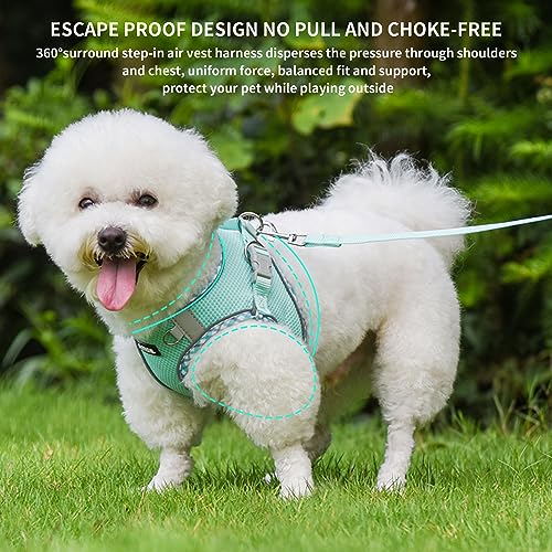 AIITLE Durable Hundegeschirr und Leine Set für Spaziergänge, Schritt in Welpengeschirr, weiche atmungsaktive Haustier Zubehör, reflektierende Bänder, für extra kleine Hunde und Hauskatzen Türkis XXXS