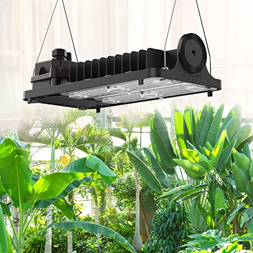 Kit éclairage horticole Top 10 de 2024 Comparatif des Meilleurs Maveo.fr