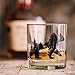 Black Lantern Nature and Animal Themed Whiskey Glass Set – 11oz Premium Heavy Base Glasses – Perfect Gift for Outdoor Enthusiasts – Set of 2 Everyday Drinking Glasses (Double Exposure Bear)