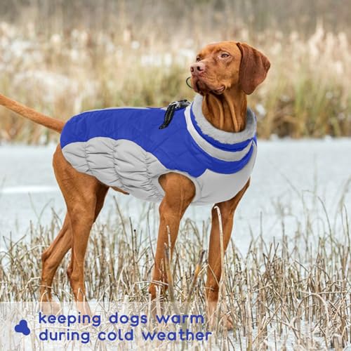 Hundepullover für Kleine Hunde, Hundejacke Wasserdicht Warmer Hundemantel Kleine Hunde Thermomantel Fleece Hunde Warme Winterjacke Rollkragen Winddicht Hunde Bekleidung für Winter Herbst(Blau, S)
