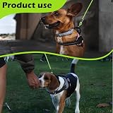 6m Hofleine für große Hunde,Tie Out Leinen für Hunde,Kausichere Hundeleinen mit Anlegepflock mit Stoßdämpfender Feder & 360° Drehhaken, Lange Hundelaufleine für Außengehege & Jagdausflüge(Grasgrün)