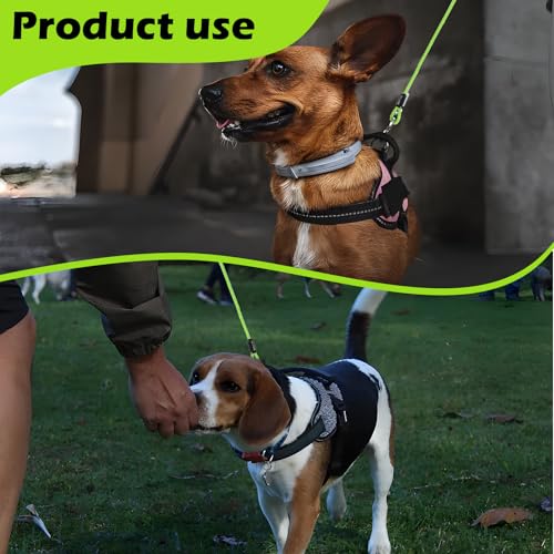 15m Hofleine für große Hunde,Bissfeste Hundeleine für Mittlere und Große Hunde, Kausichere Hundeleinen mit Anlegepflock mit Stoßdämpfender Feder & 360° Drehhaken.